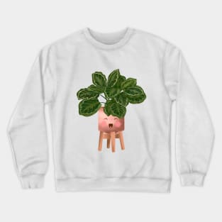 Cute Plant Illustration, Calathea Medallion- Prayer Plant Art Crewneck Sweatshirt